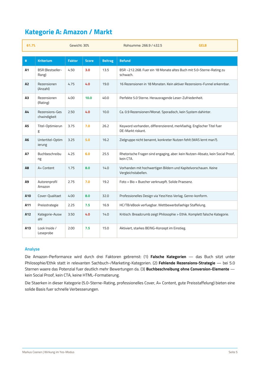 Detailanalyse einer Kategorie mit Score, Faktor und Befund je Kriterium